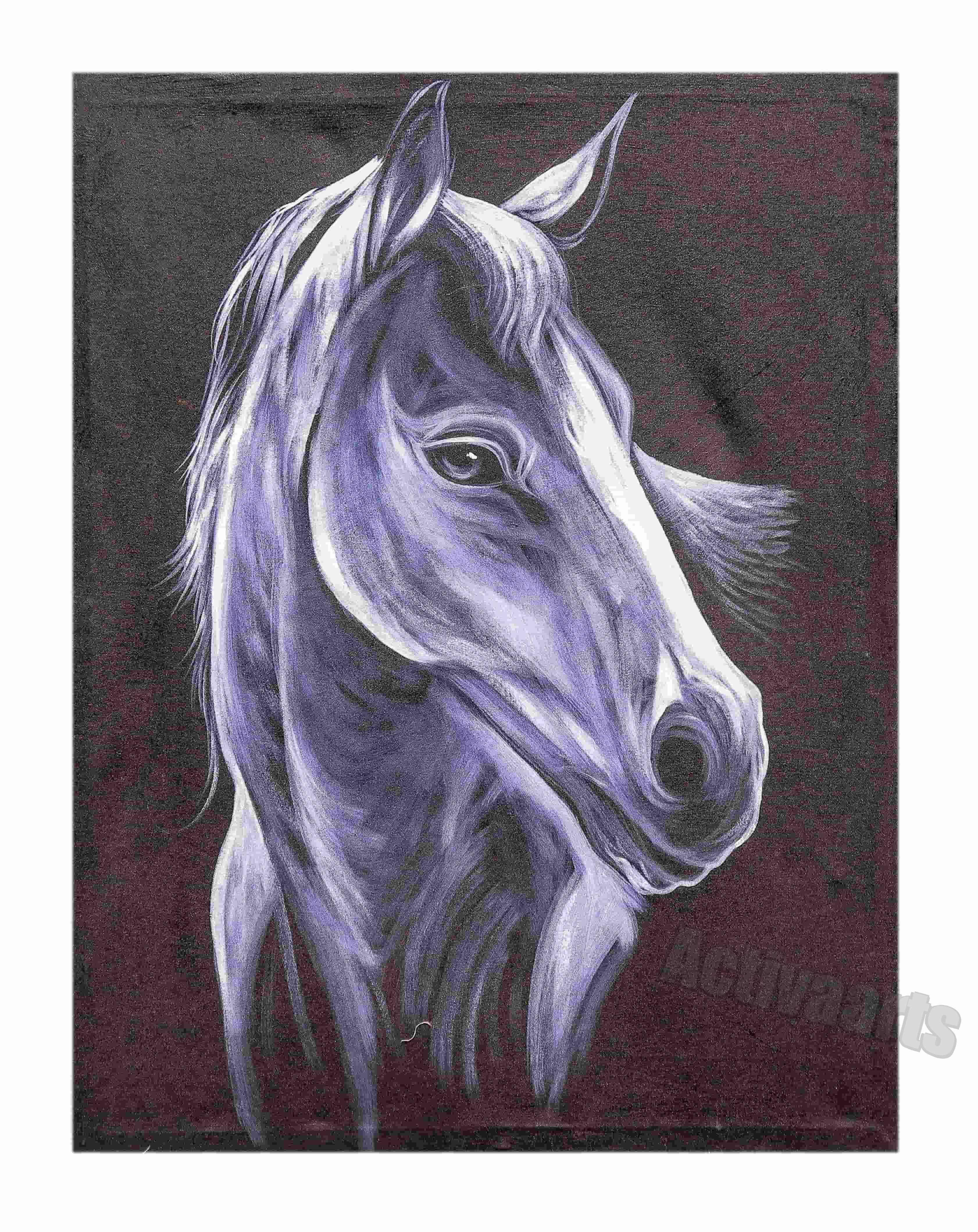 Horse Fore