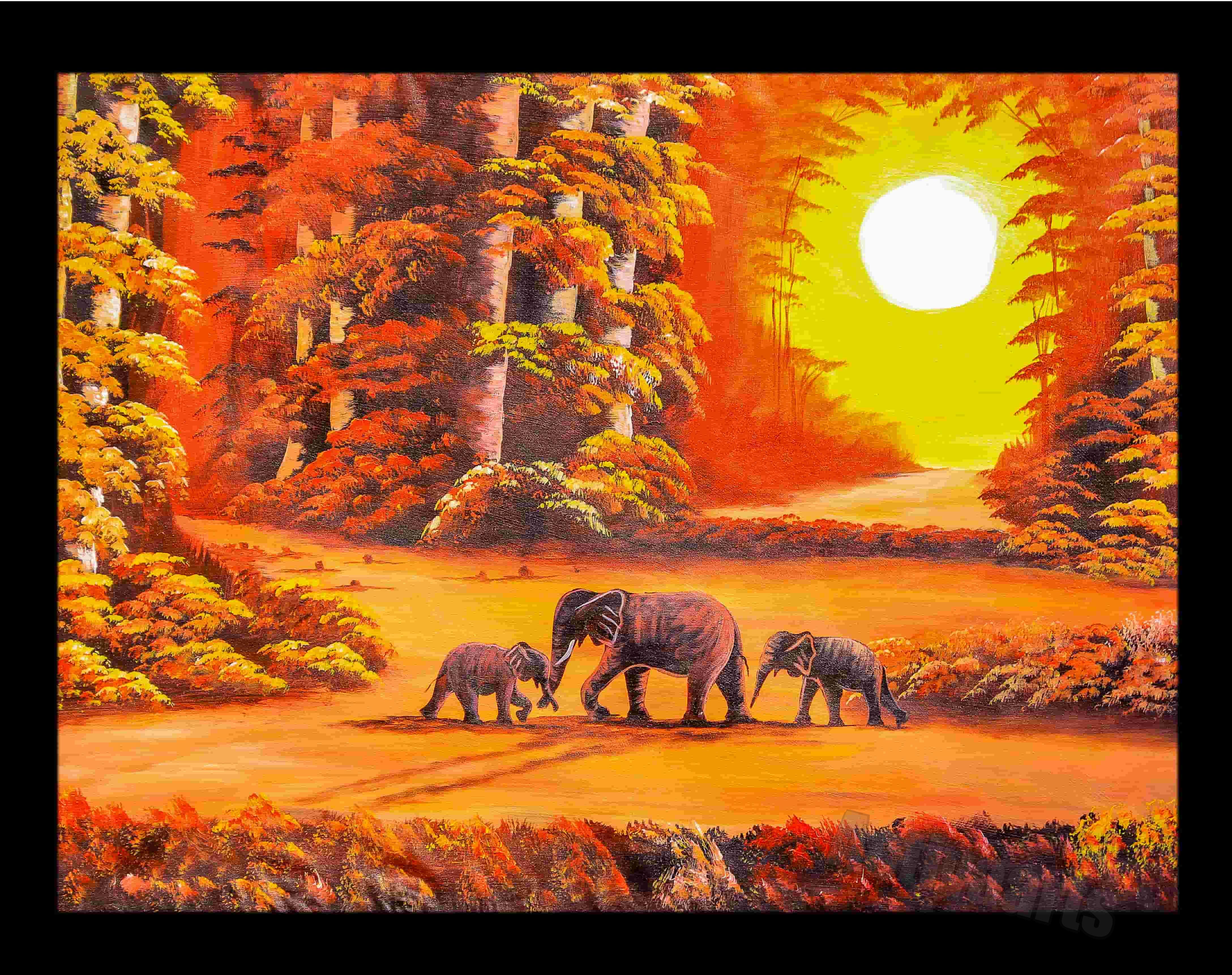 Sun Kissed Jungle