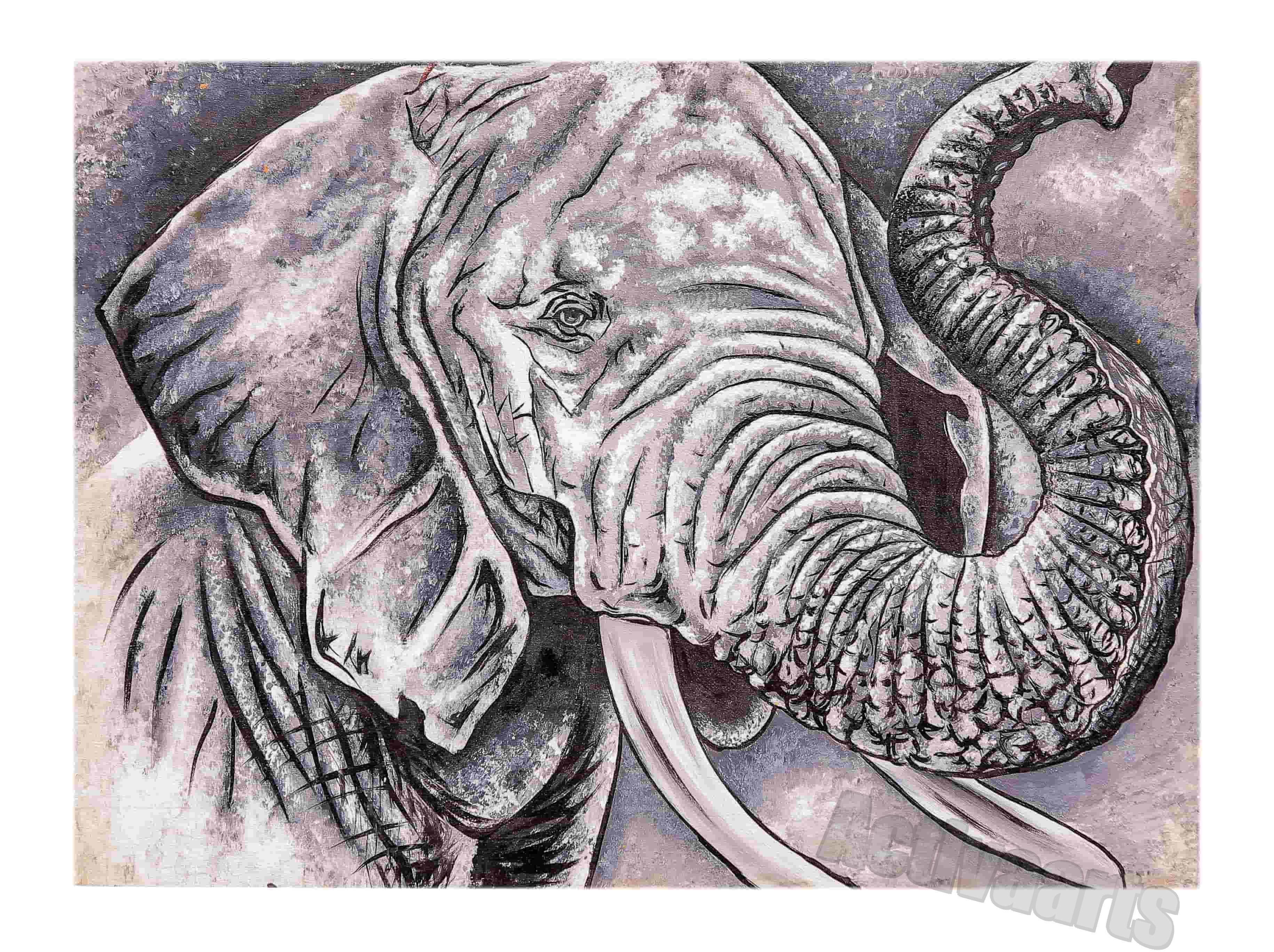 Elephant Head