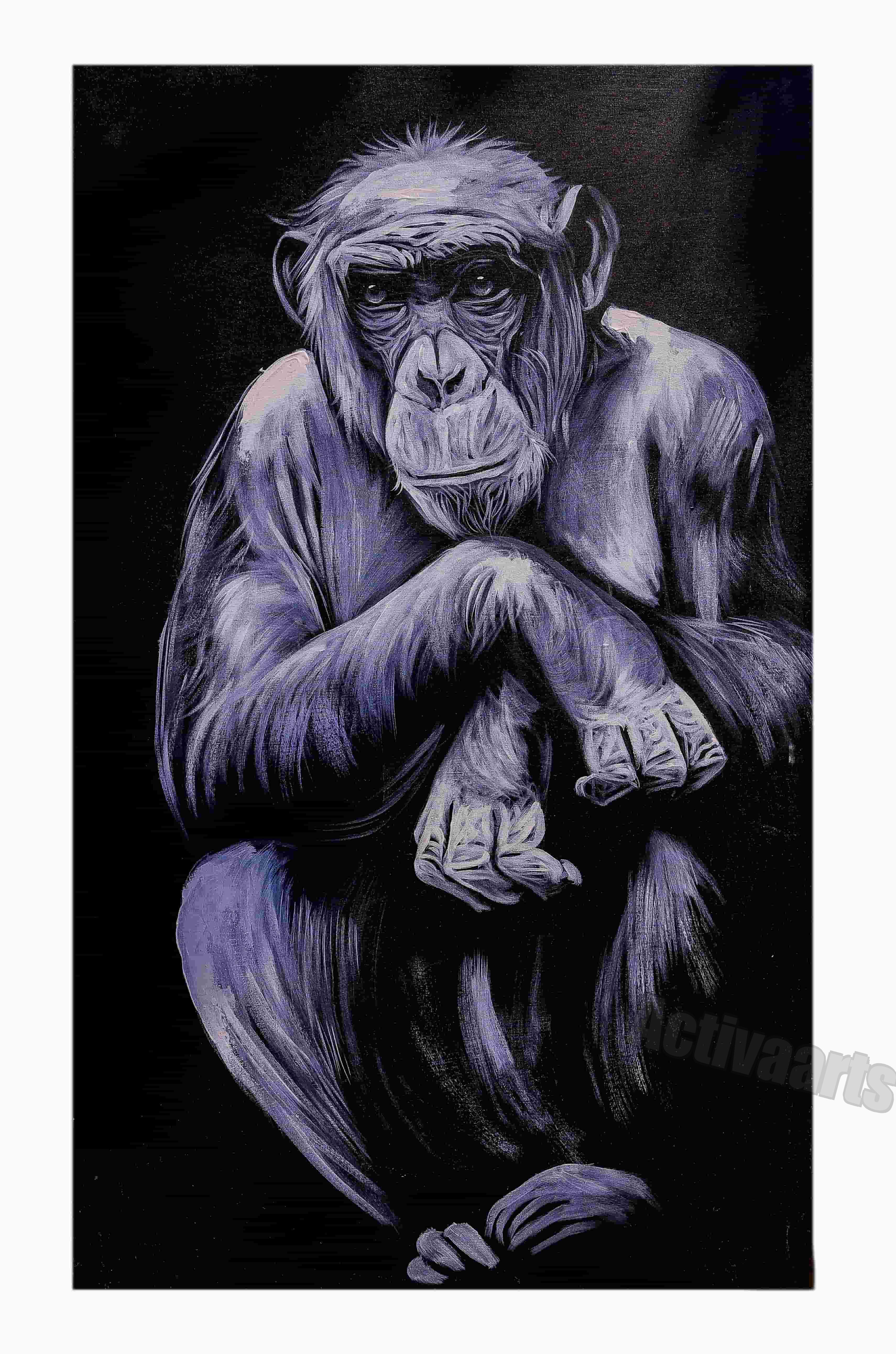 Humble Chimp