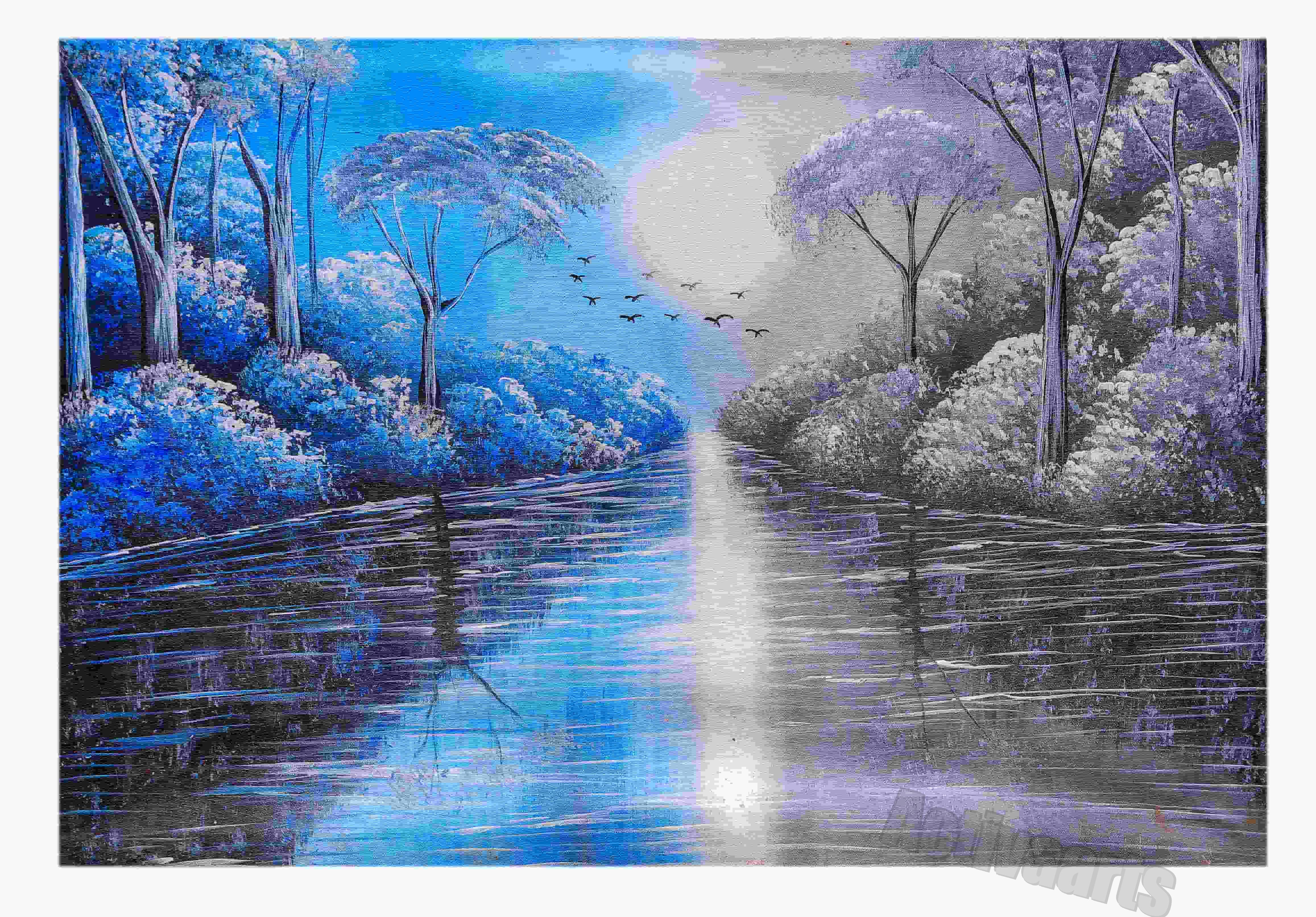 Birds Over River scene