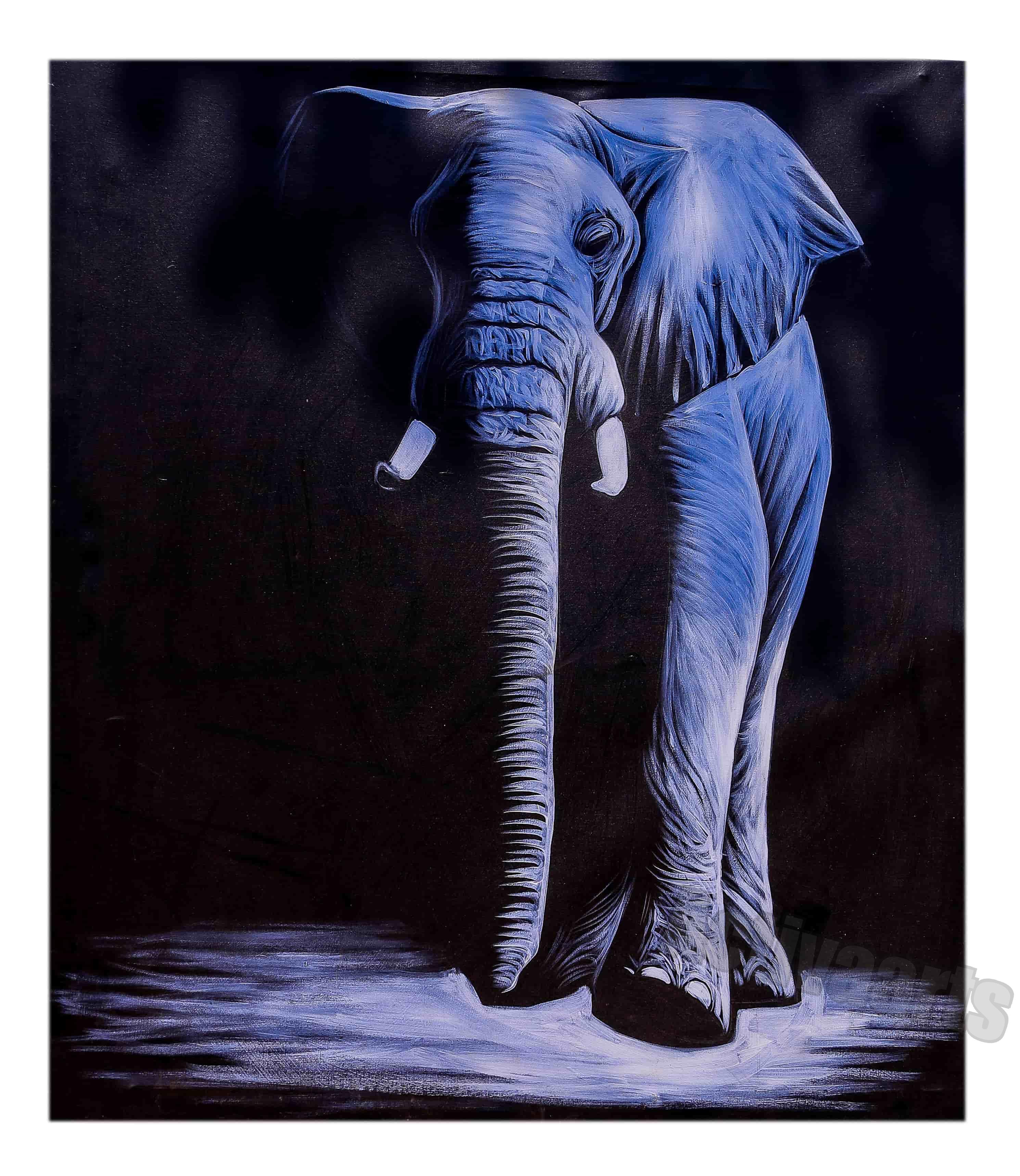 Majestic Dark Elephant