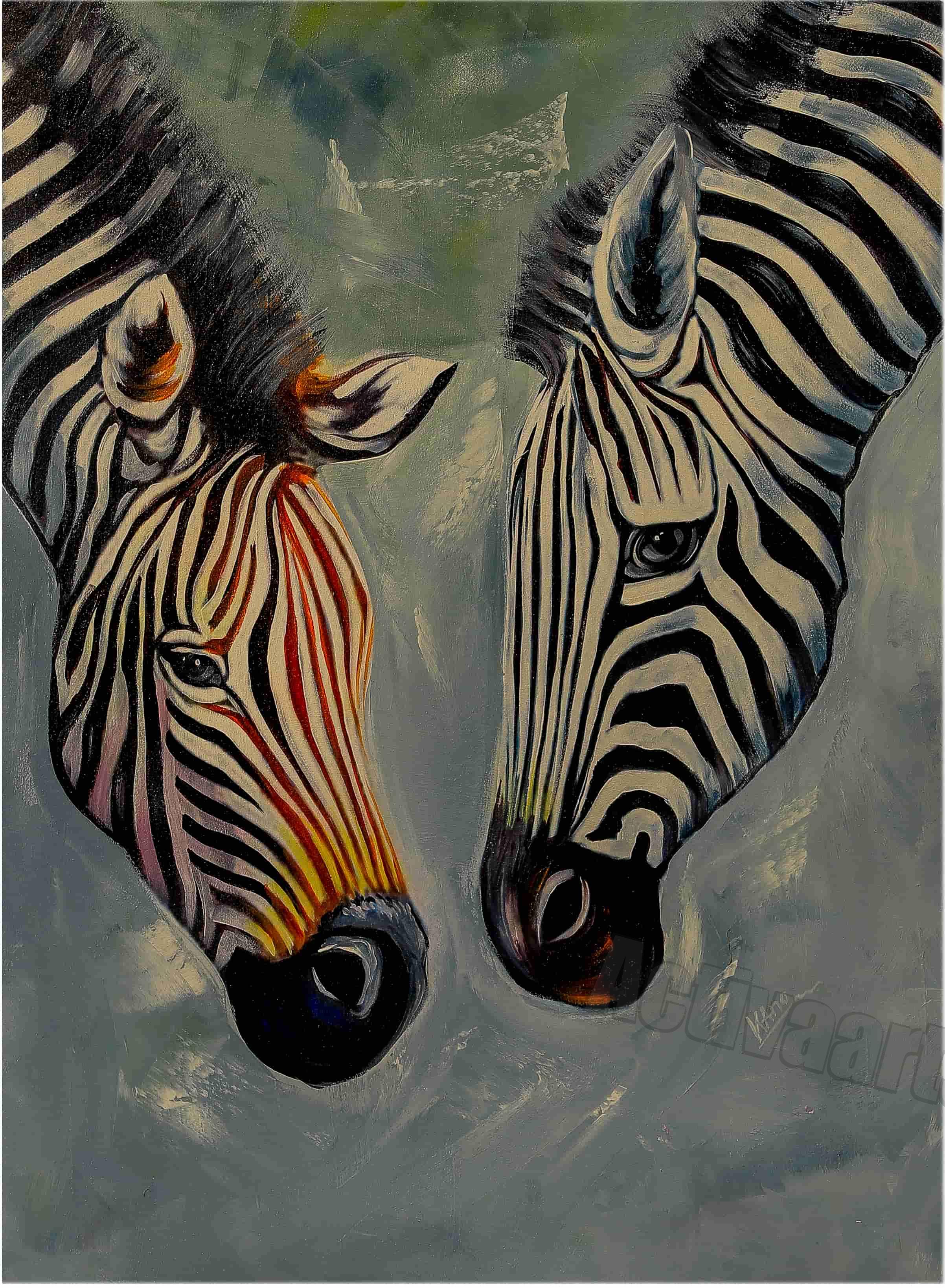Two Zebras