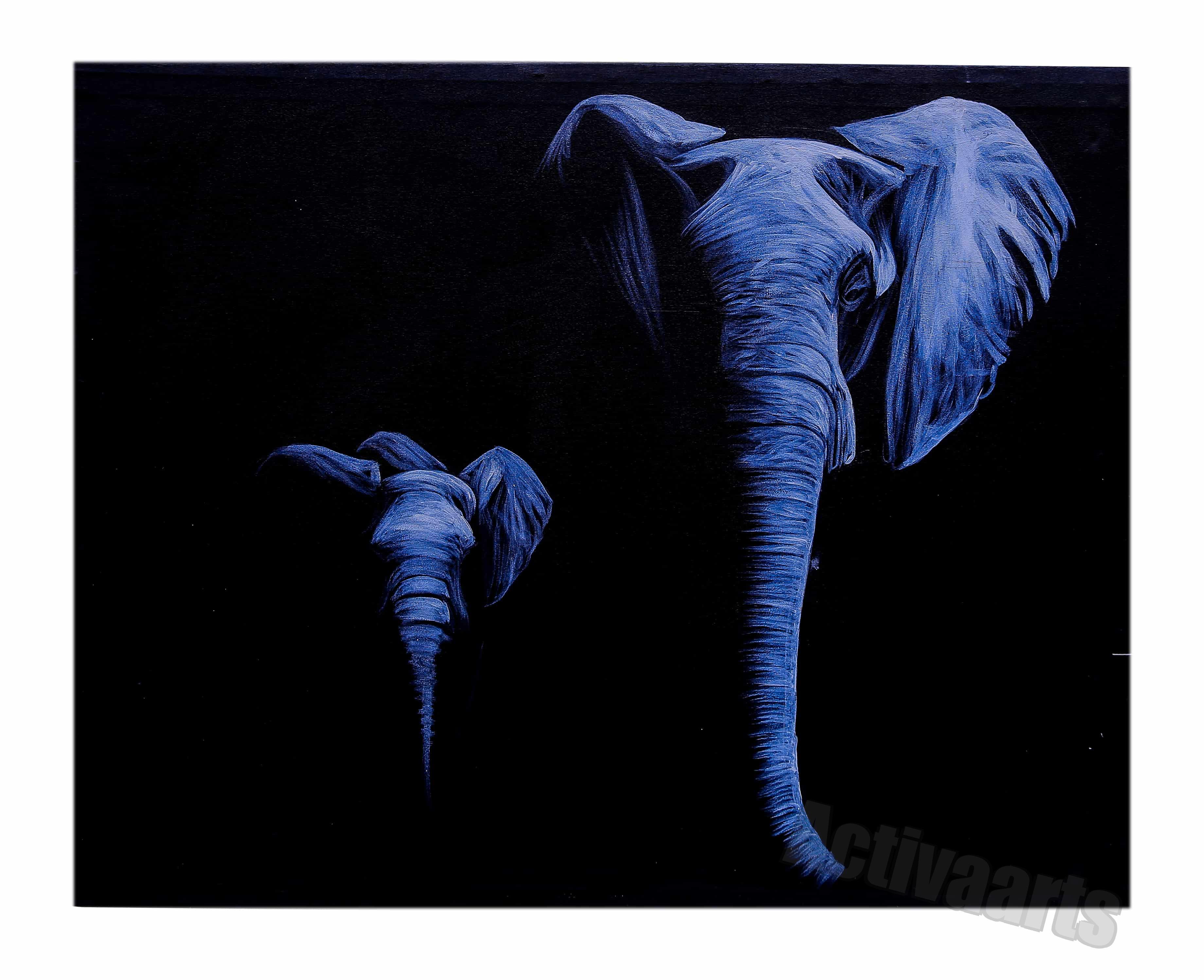 Elephant and Young One
